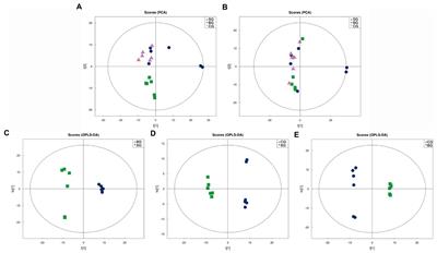 Metabolome and microbiome analysis revealed the effect mechanism of different feeding modes on the meat quality of Black Tibetan sheep